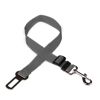 Gray dog leash with black clip 