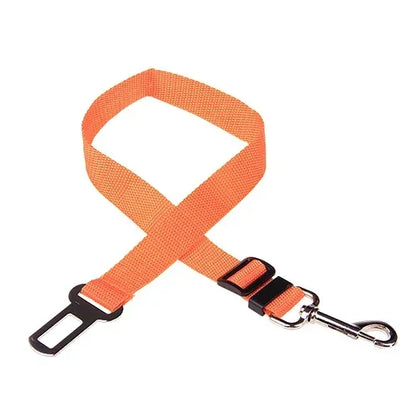Orange dog leash with metal clip