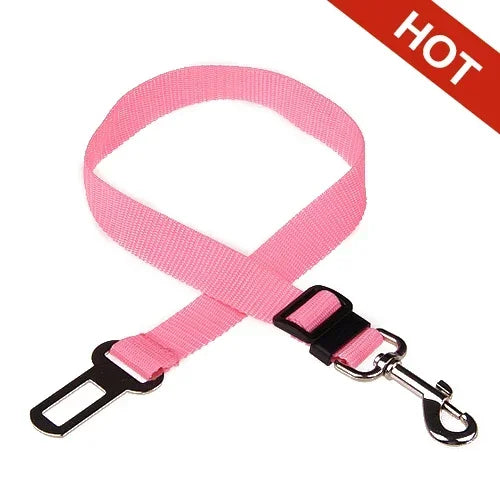 Pink dog leash with a metal clip