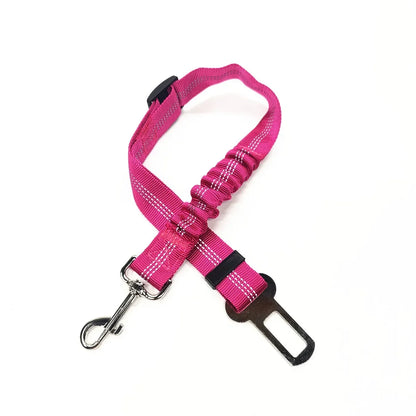 Pink dog leash with metal clip