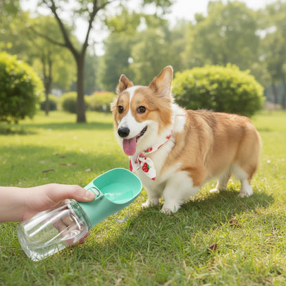 portable dog water bottle outdoor travel accessories