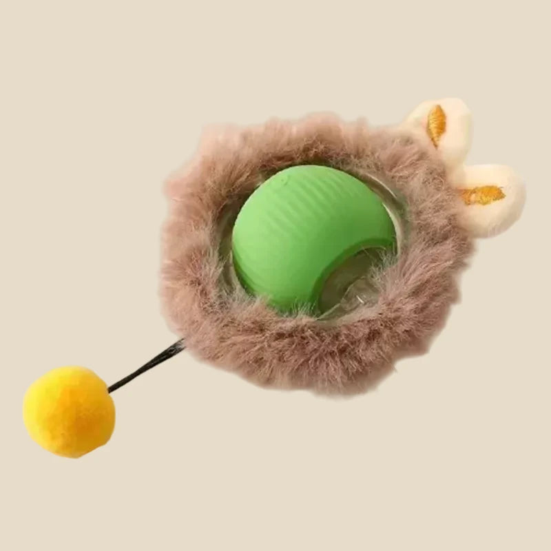 indoor cat playing with automatic teaser ball